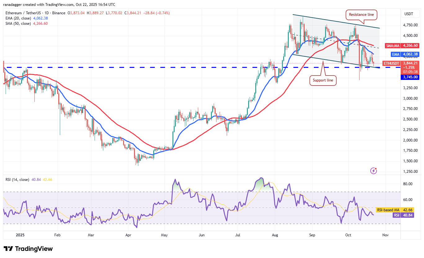 Dogecoin, Cryptocurrencies, Stellar, Bitcoin Price, XRP, Markets, Cryptocurrency Exchange, Cardano, Price Analysis, Chainlink, Market Analysis, Ether Price, Solana, BNB