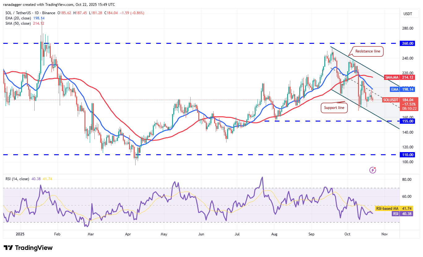 Dogecoin, Cryptocurrencies, Stellar, Bitcoin Price, XRP, Markets, Cryptocurrency Exchange, Cardano, Price Analysis, Chainlink, Market Analysis, Ether Price, Solana, BNB