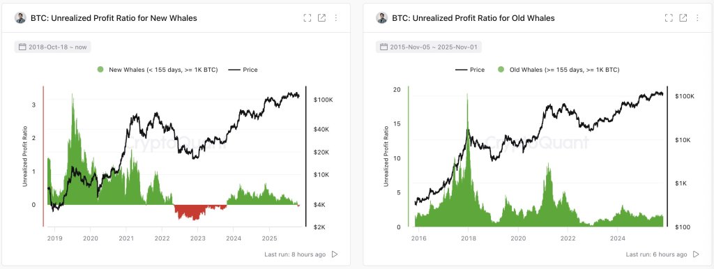 Unrealized Profit Ratio for whales