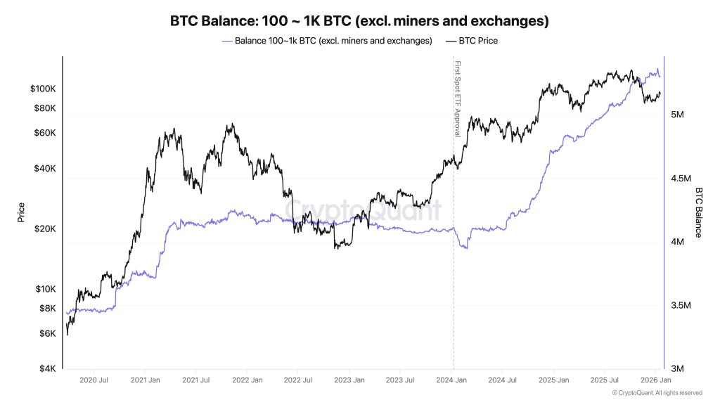 Bitcoin Balance: 100-1,000 BTC