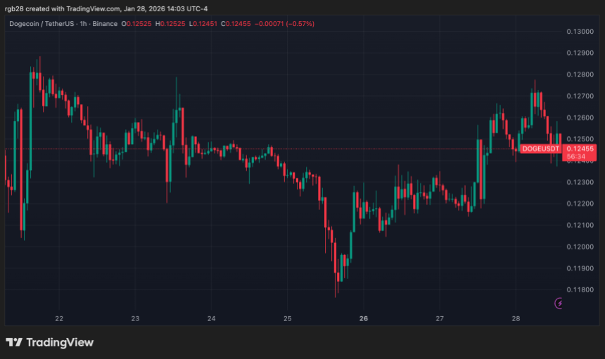 Dogecoin, doge, dogeusdt