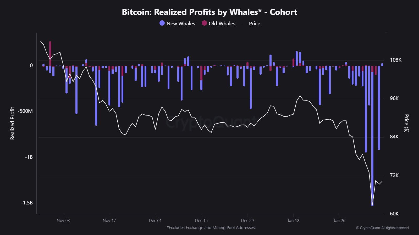 Bitcoin new Whale Losses