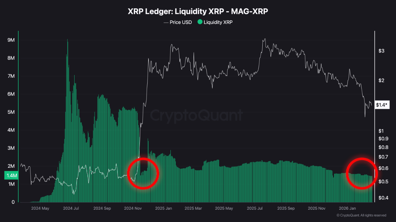 XRP Ledger Liquidity XRP | Source: CryptoQuant