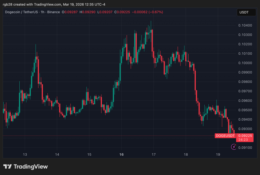 Dogecoin, doge, dogeusdt