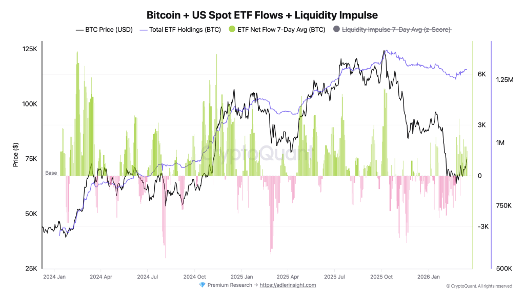 US Bitcoin ETF Flows