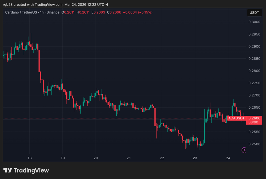 cardano, ADA, ADAUSDT