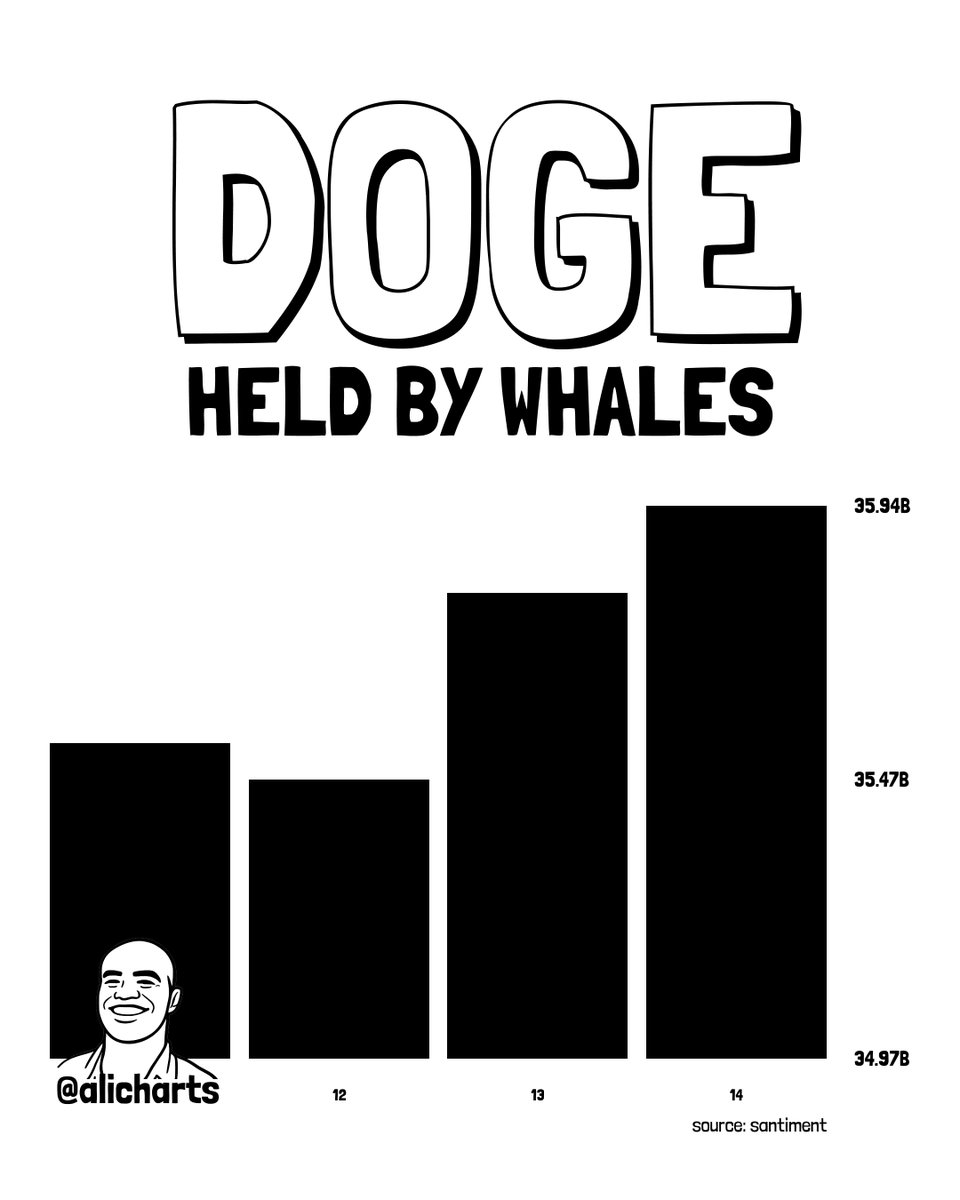 Dogecoin Whales