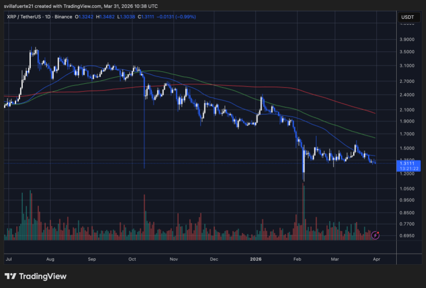 XRP consolidates above $1.3 | Source: XRPUSDT chart on TradingView
