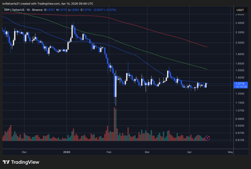 XRP price testing the 50-day MA | Source: XRPUSDT chart on TradingView