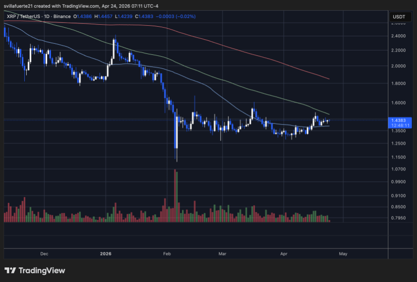 XRP consolidates above $1.40 | Source: XRPUSDT chart on TradingView
