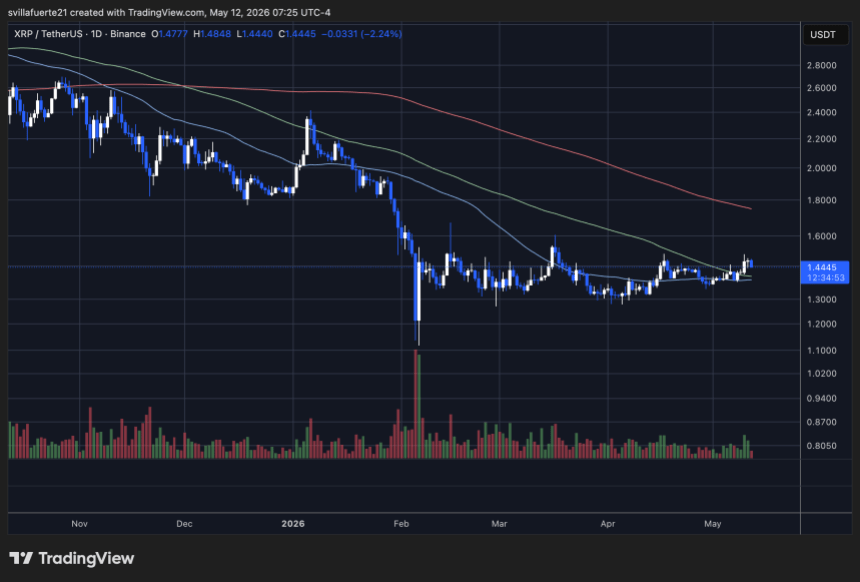 XRP consolidates above the $1.4 level | Source: XRPUSDT chart on TradingView