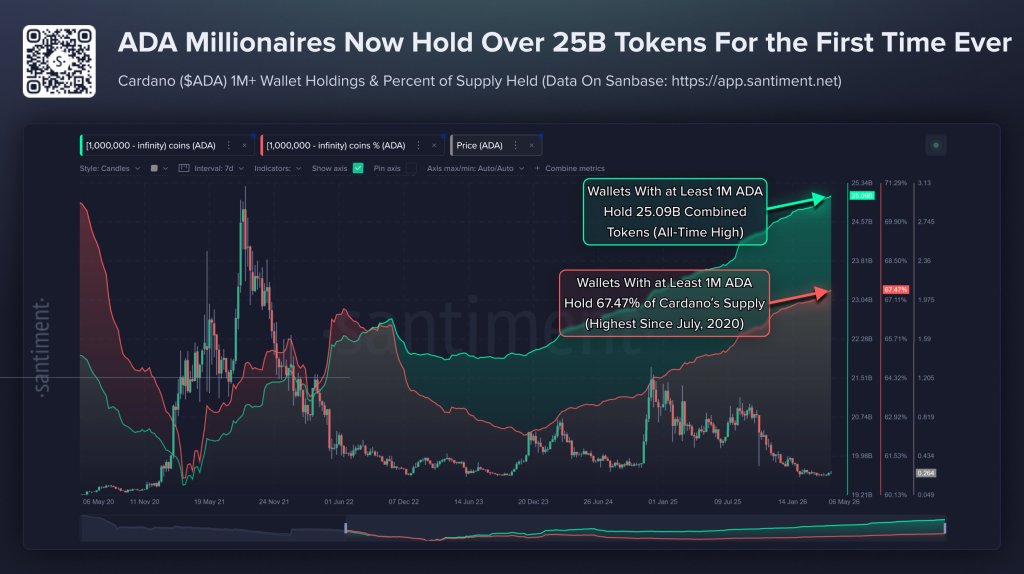 Cardano whale data
